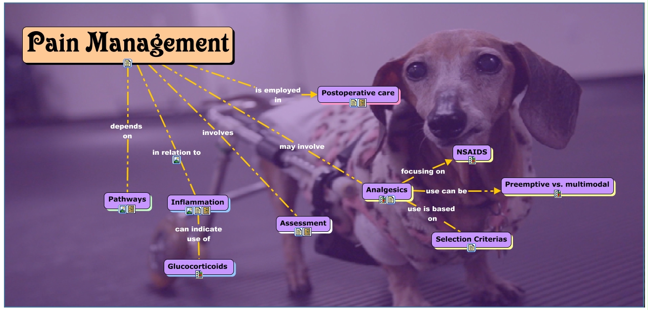 Pain management